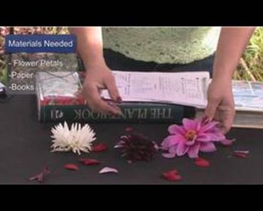Gardening Tips : How to Dry Flower Petals