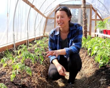 Planting our Vegetable Garden | Alaska 2020