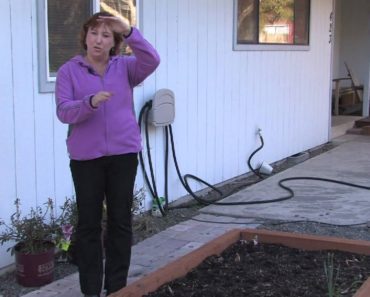 Gardening Tips : Building Raised Vegetable Garden Beds