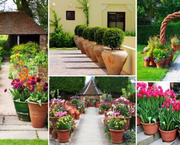 51+ Container Gardening: Gardening Tips In Front Garden Yard Made Of Pottery's | Garden Design