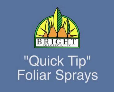 Commercial Hydroponic Quick Tip: Foliar Sprays