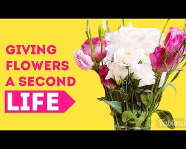 DIY HACKS To Give YOUR FLOWERS A Second Life / Plant Care Tips And Tricks