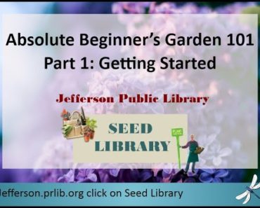 Part 1 Absolute Beginners Vegetable Garden 101