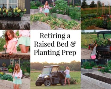 Retiring a Raised Bed, Prepping For Planting Again, Vegetable Gardening Tips, just life 3-20