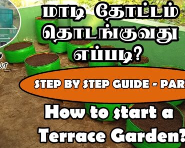 How to start terrace garden | மாடி தோட்டம் தொடங்குவது எப்படி? | Part – I