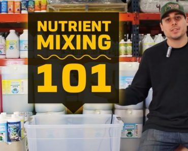 Nutrient Mixing 101 | Hydroponic Reservoir Management | Grow Room Tank Mixing