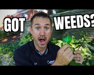How to Get Rid Of Weeds in Flower Beds | Gardening Tips for Homeowners and Landscapers | Tutorial