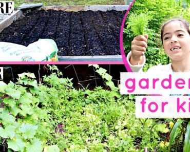 HOW TO START A GARDEN | Gardening for kids