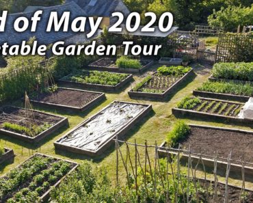 Vegetable Garden Tour | Late May in Our Organic & Permaculture Inspired Kitchen Garden