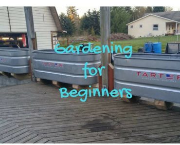 Gardening for Beginners Episode 4