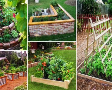 38+ Garden Ideas: Productive Vegetable Garden Beds And landscape Garden Ideas