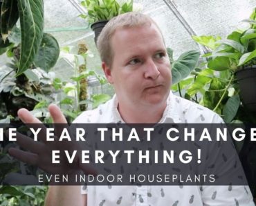 How 2020 Changed Indoor Gardening & Houseplants | Ep 92