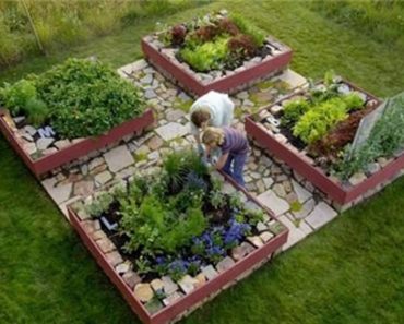 Home vegetable garden design ideas