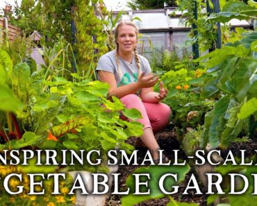 Massively Productive Small-Scale Suburban Vegetable Garden | Backyard Self-Sufficiency on a Budget
