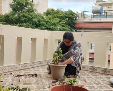ಗಾರ್ಡನಿಂಗ್ , ಕನ್ನಡ ಟಿಪ್ಸ ವ್ಲೊಗ್ । Gardening, Kannada Learning Tips Vlog