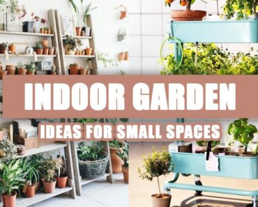 55+ Best Indoor Garden Ideas for Small Spaces 2020