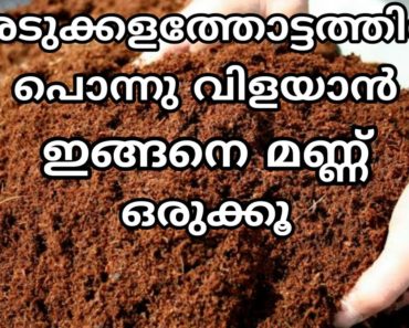 മികച്ച രീതിയിൽ പച്ചക്കറി കൃഷിക്ക് മണ്ണൊരുക്കാൻ | how to prepare soil for vegetable garden malayalam