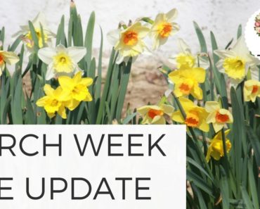March Week One Garden Update – Cut Flower Farm Gardening for Beginners Easy to Grow Plants Spring