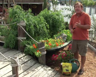 Maintaining a Garden : Vegetable Gardening for Beginners