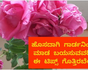 ಗಿಡಗಳನ್ನು ಬೆಳೆಸುವ ಮೊದಲು ಇವಿಷ್ಟು ಅಂಶಗಳು ಚೆನ್ನಾಗಿ  ಗೊತ್ತಿರಬೇಕು|gardening tips for beginners in Kannada