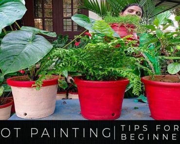 Pot Painting | Tips for Beginners | Home Garden(Malayalam)