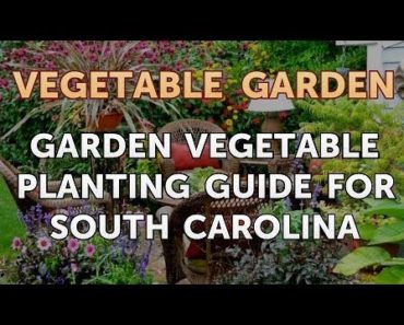 Garden Vegetable Planting Guide for South Carolina