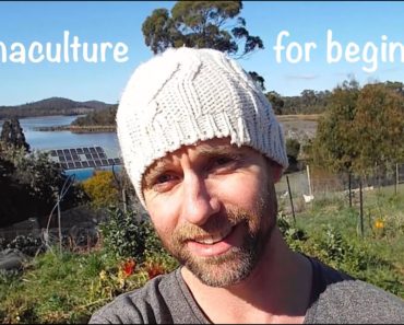 Permaculture For Beginners