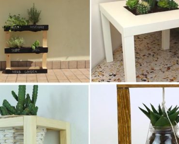10 easy DIY garden projects for absolute beginners