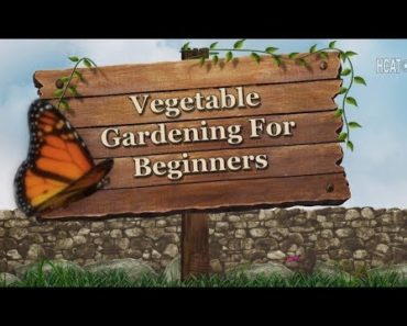 How Does Your Garden Grow, 1:6 – Vegetable Gardening For Beginners