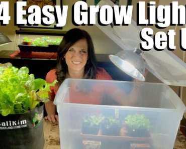 4 Easy Grow Light Set Ups for Starting Seeds Indoors // Spring Garden Series #1