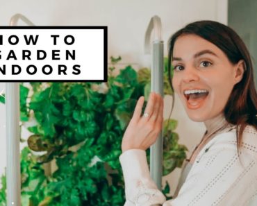 How to Start A Vegetable Garden Indoors | Gardening Tips