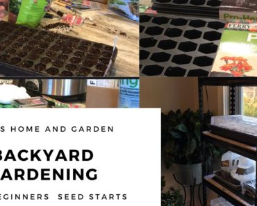 Backyard Gardening for Beginners…Starting Seeds