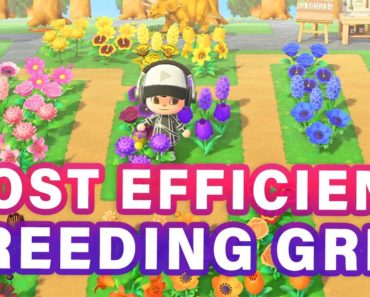 The MOST EFFICIENT Flower Breeding Grid | Diamond Grid ► Animal Crossing New Horizons
