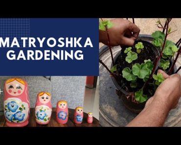 Matryoshka Gardening Technique | For Beginner Gardeners