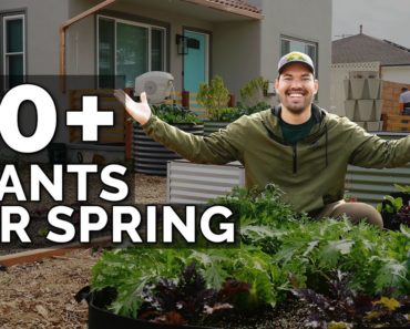 50+ Plants I'm Growing In My Spring Garden ? ? ?