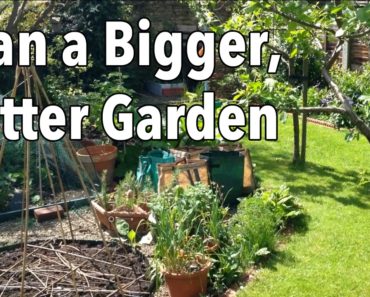 How to Plan a Bigger, Better Garden – Easy Vegetable Garden Planning