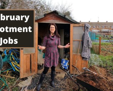 Allotment Jobs For February – Allotment Gardening For Beginners