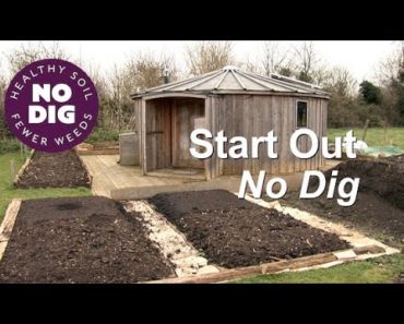 Start Out No Dig,  one method with cardboard and compost