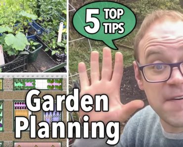 5 Tips for Planning Your Vegetable Garden
