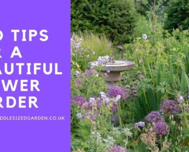 How to plan a flower border – top professional tips