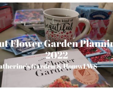 Urban English-style Cottage Garden|Cut Flower Garden for Beginners Wanting Stunning Seasonal Blooms
