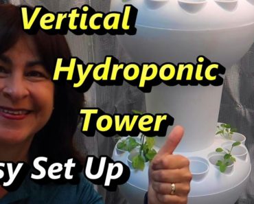 Vertical Hydroponic Gardening System – Setting up a Foody Garden Tower