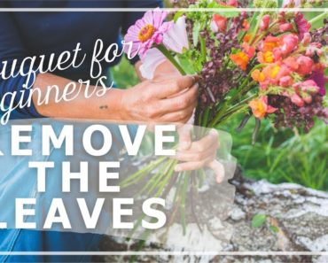 Bouquets for Beginners: Remove the Leaves