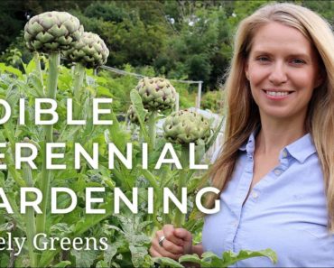 Edible Perennial Gardening – Plant Once, Harvest for Years