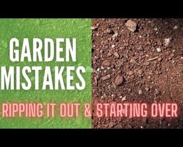 Garden Mistakes 🌿 || Ripping Out The Garden & Starting Over || Gardening For Beginners