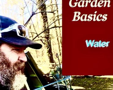 Garden Basics for beginner gardeners: Water