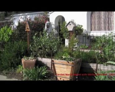 SMALL GARDEN IDEAS : DIY RAISED PLANTER BOXES for Vegetable Gardening