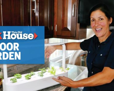 How to Plant an Indoor Garden | Ask This Old House