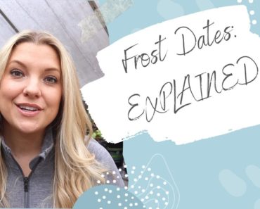 Gardening for Beginners: Frost Dates Explained
