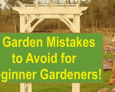 5 Garden Mistakes To Avoid For Beginner Gardeners! (Part 1)